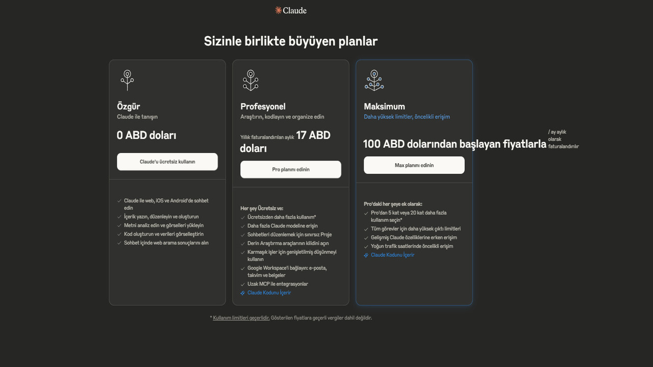 Claude AI bireysel plan