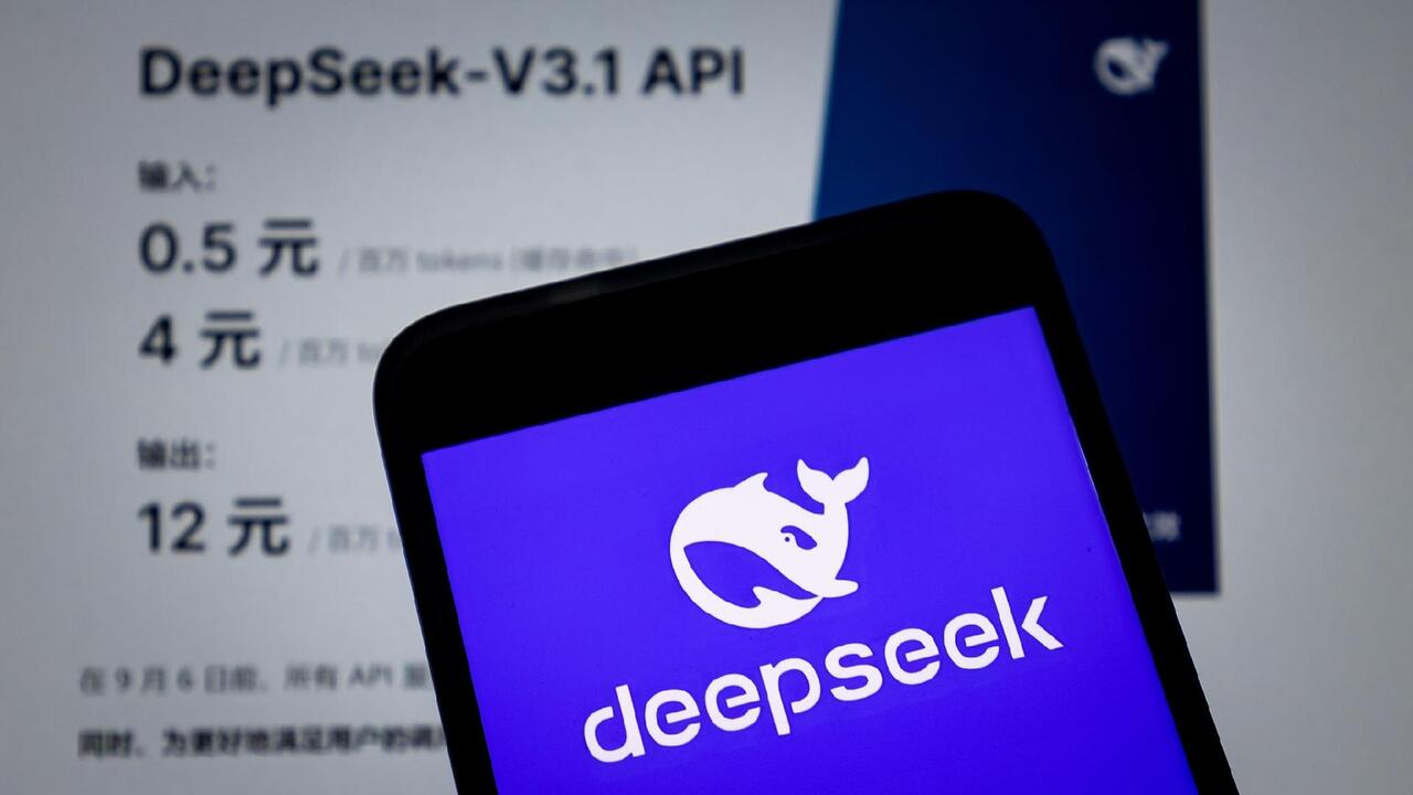DeepSeek V3.1