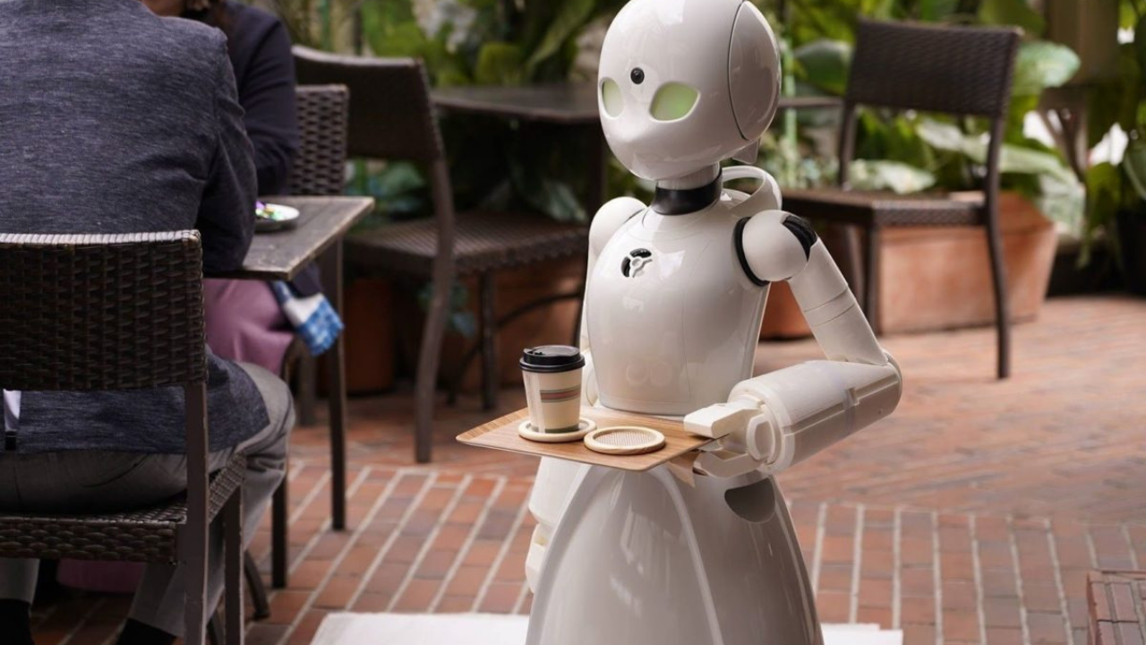 Günlük yaşamdan en yaygın örnek robot garsonlar
