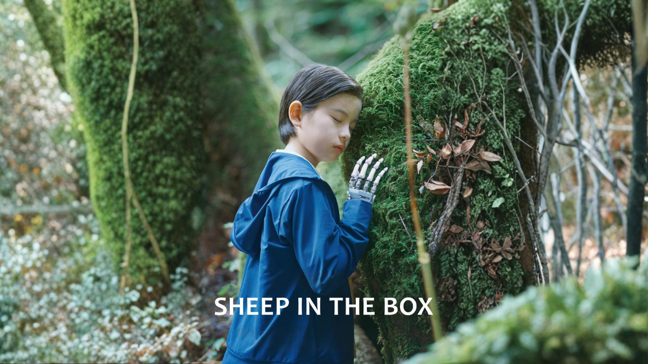 sheep-in-the-box