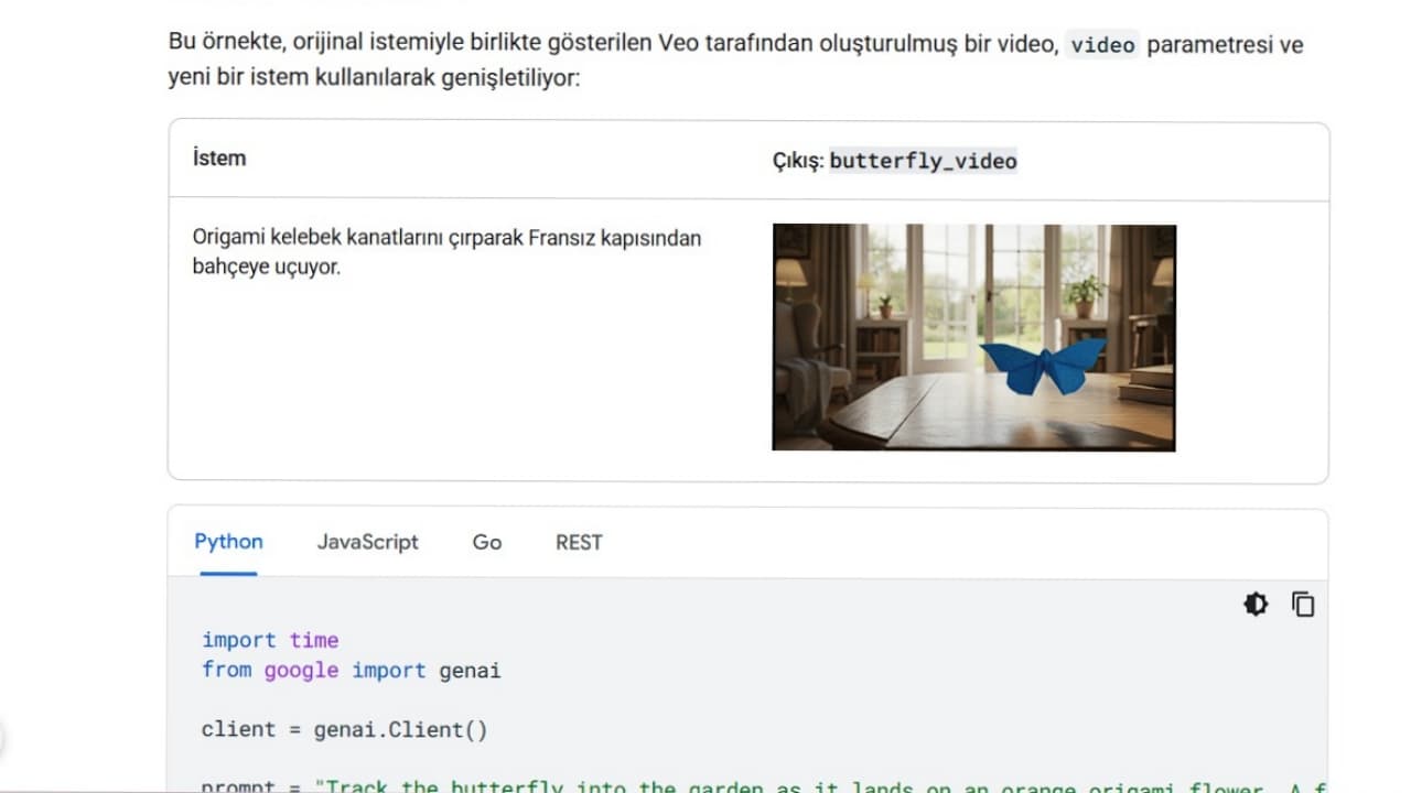 video prompt