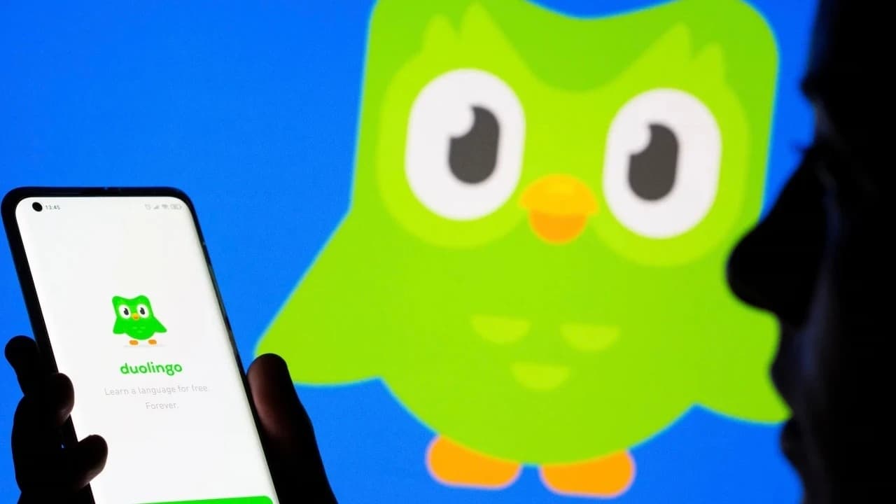 duolingo ve kullanıcı