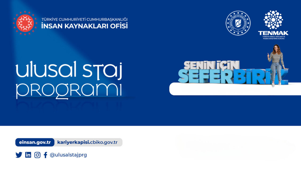 Ulusal Staj Programı