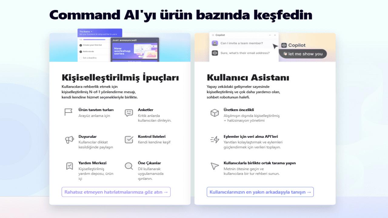 Artificial Intelligence Agent Development with Prompt: Codeless AI ...
