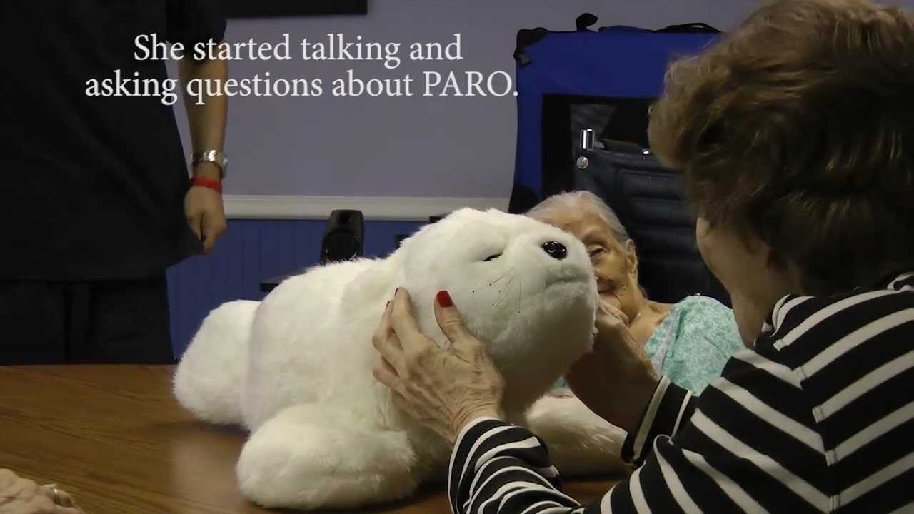 Paro: Sosyal ve Terapötik Sağlıkta Dijital Dostunuz