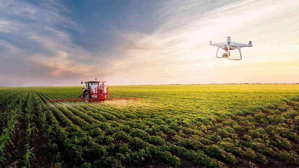 Yapay Zeka ile Yeşeren Tarlalar: Akıllı Çiftçilik Devrimi
