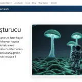 Microsoft'tan Yeni Adım: Bing Video Creator