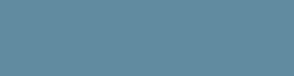 IEEE DEU Student Branch