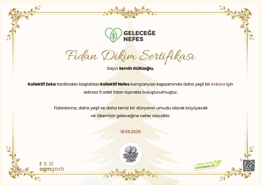 Gönderi görseli