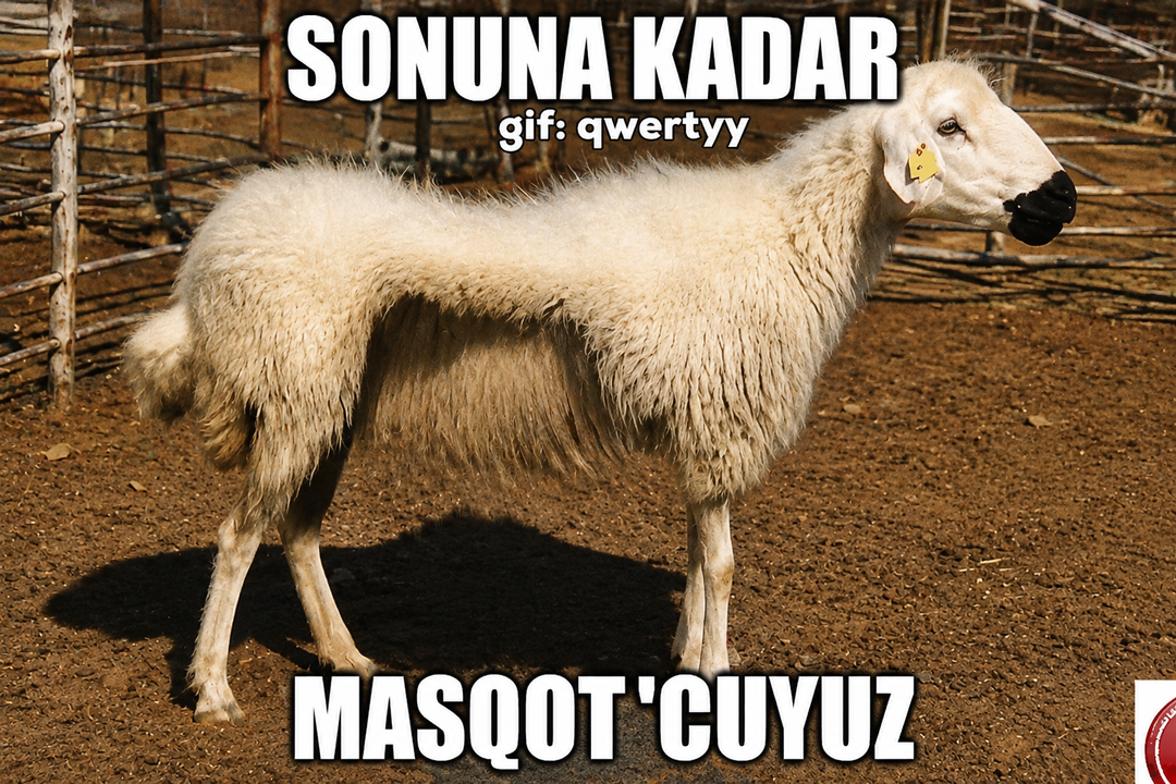 Gönderi görseli